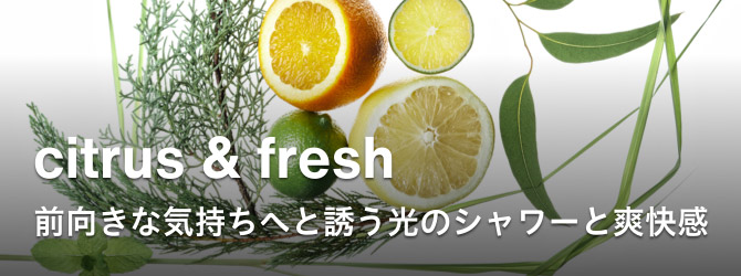 citrus & fresh 前向きな気持ちへと誘う光のシャワーと爽快感