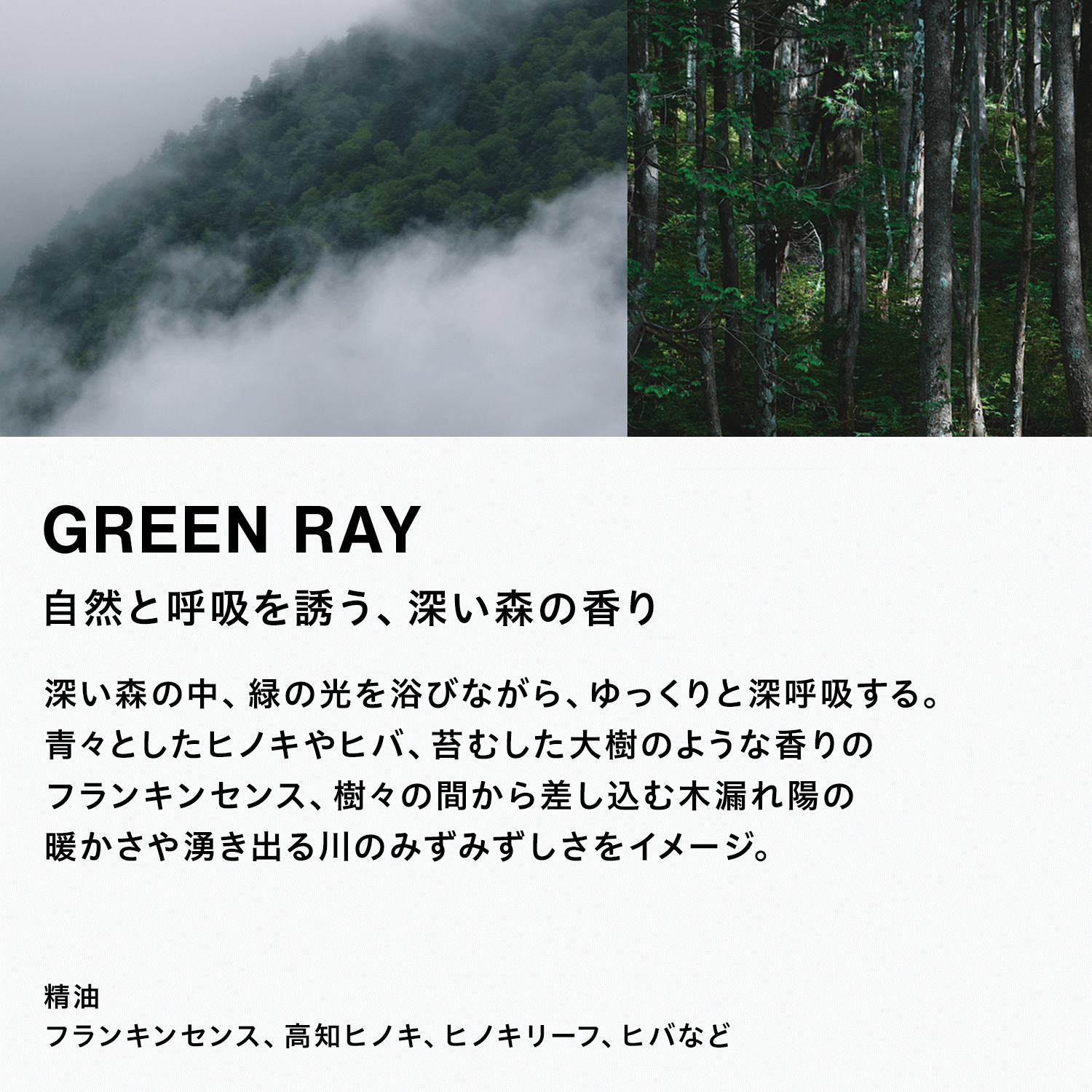 GREEN_RAY_scene.png